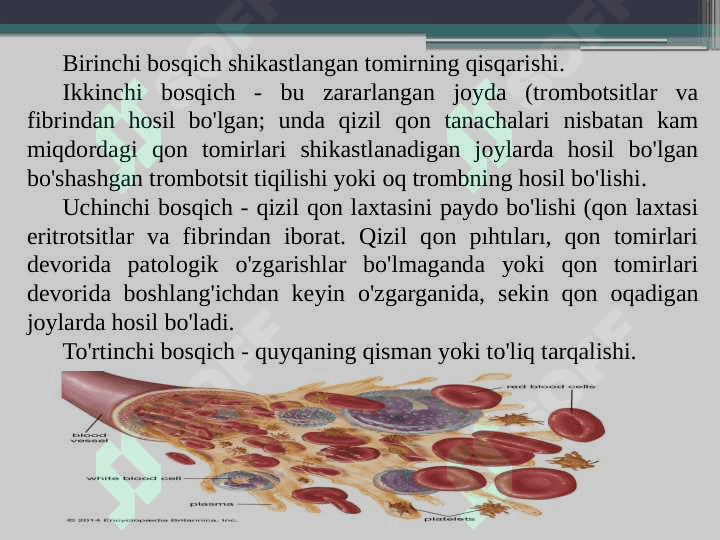 Qon ivish tizimi 3