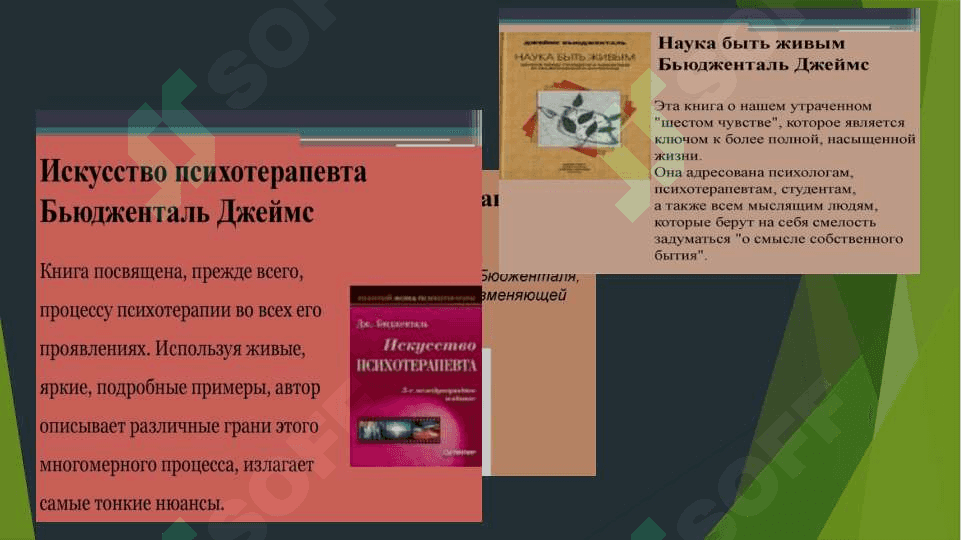Jeyms Byudjental yondashuvi 5