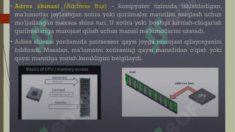 Shina turlari va portlari 6