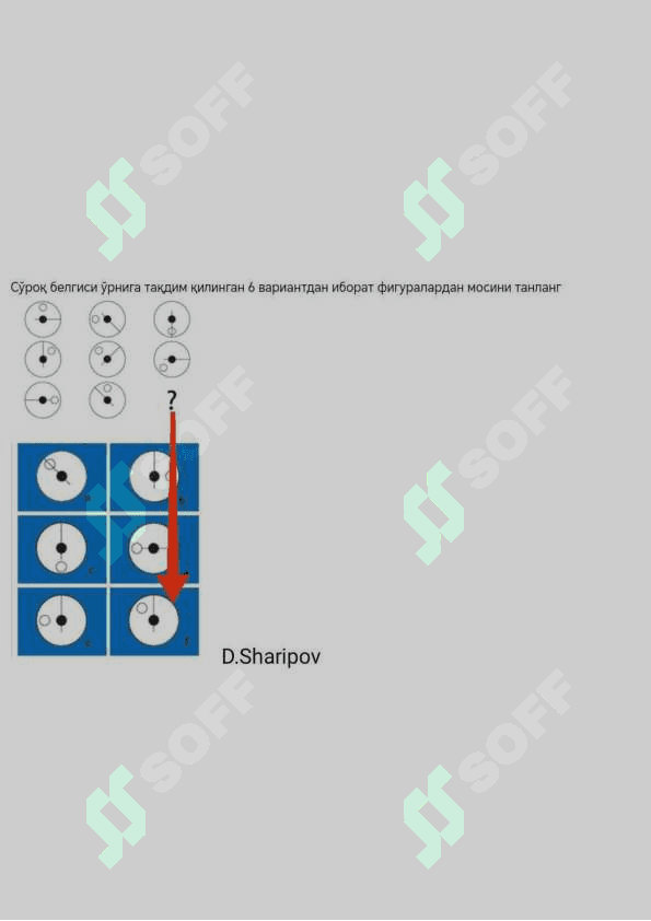 Argos iq test savollari javoblari 3