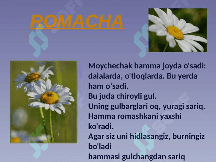 Modulli origami gullari tayyorlash 2
