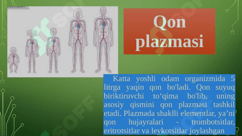 Qonning kimyoviy tarkibi 5