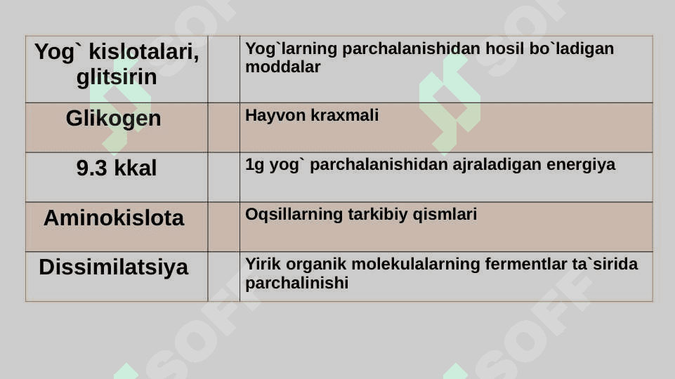 Vitaminlar va ularning ahamiyati 6