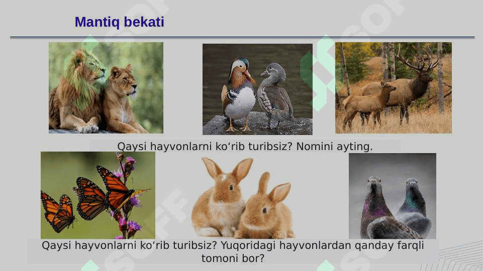 Jins genetikasi 3