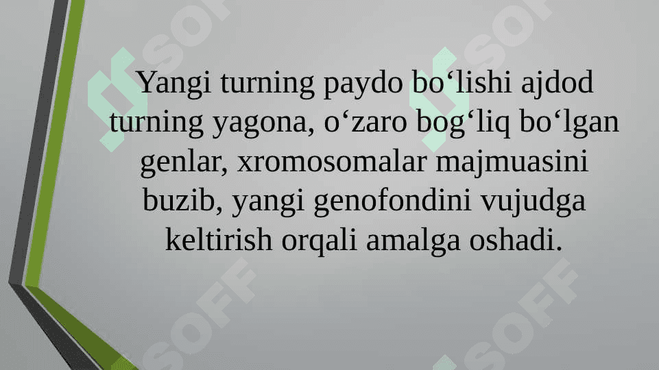 Turlarning paydo bo`lishi 8
