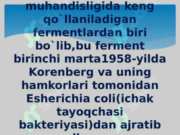 Fermentlar 2