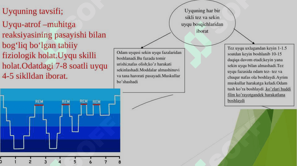 Uyqu va uning ahamiyati 3