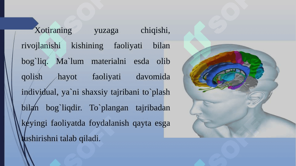 Xotira, uyqu, hissiyotlar  nutq fiziologiyasi 4