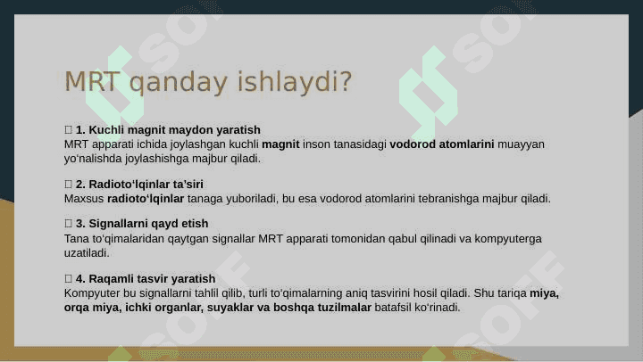 MRT haqida ma'lumot 2