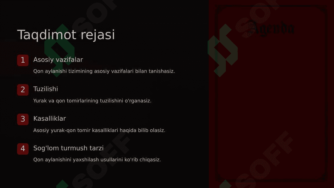Qon aylanishi tizimi 2