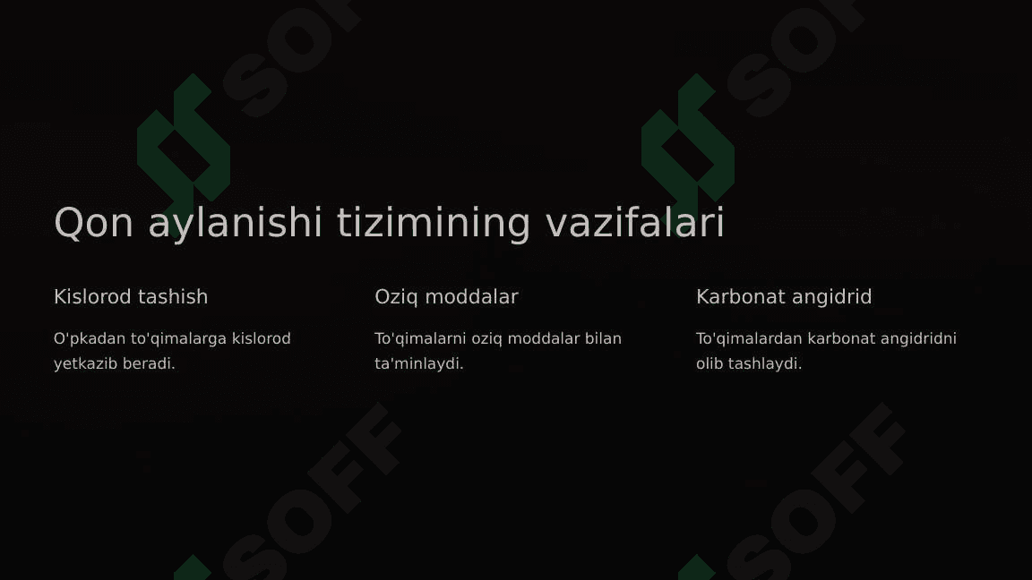 Qon aylanishi tizimi 3