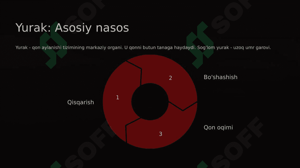 Qon aylanishi tizimi 4