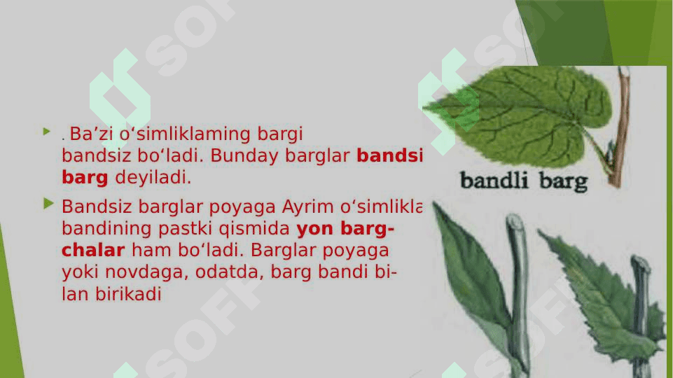 Barg slayd 4