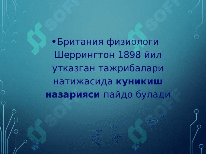 Нейрон тўри 7