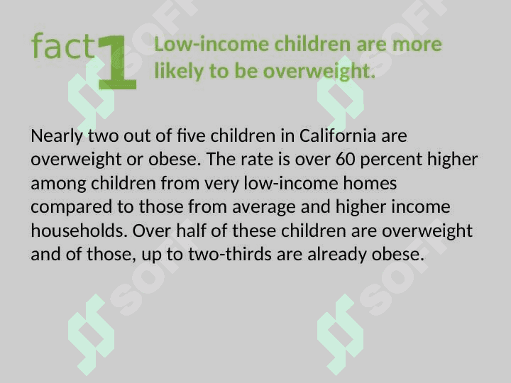 CHILDREN’S FACT SHEET 2