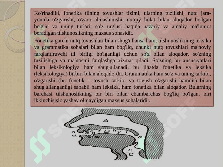 NUTQNING FONETIK BO`LINISHI 3