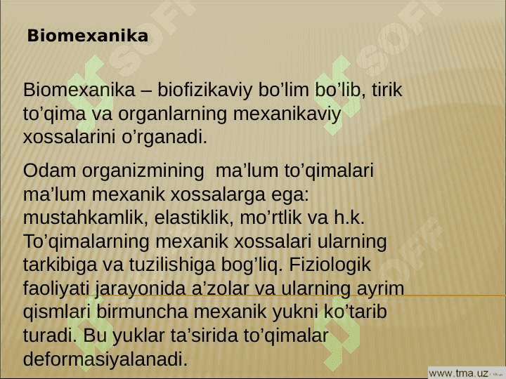 Biomexanika 3