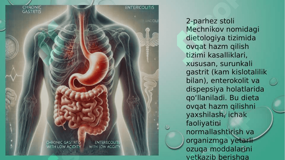Mavzu:Ikkinchi parhez stoli 2