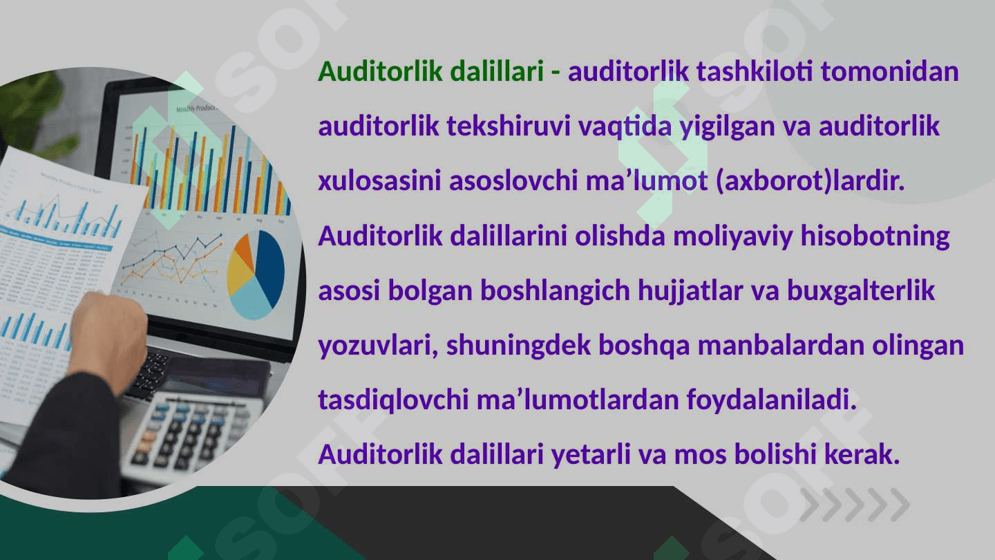 Auditorlik dalillari 2