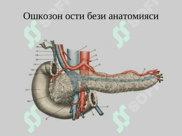 O`tkir pankreatit . Уткир панкреатит 3