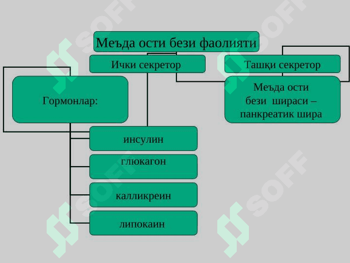 O`tkir pankreatit . Уткир панкреатит 4