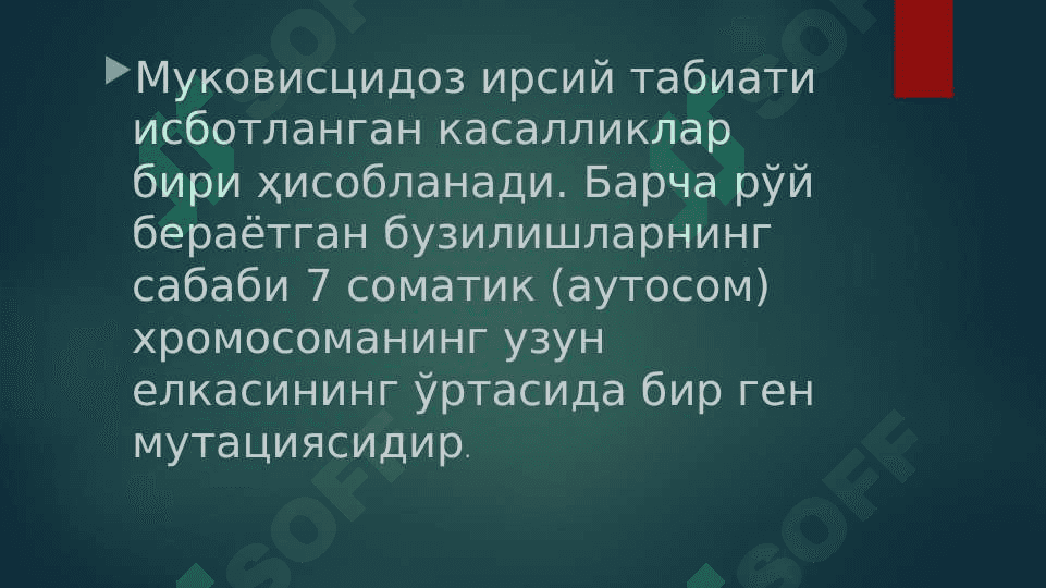 O`pka mukovitsidozi . Муковисцидоз 4