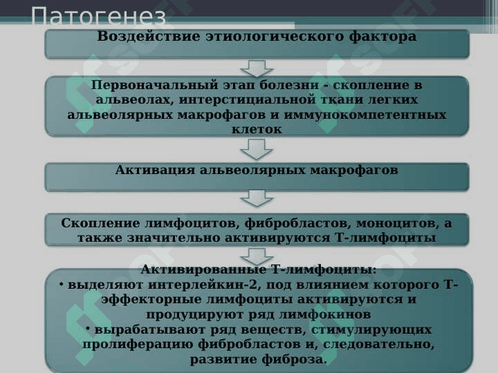 Sarkoidoz . Саркоидоз легких 5