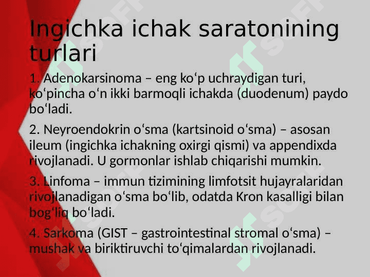 Ingichka ichak saratoni 3