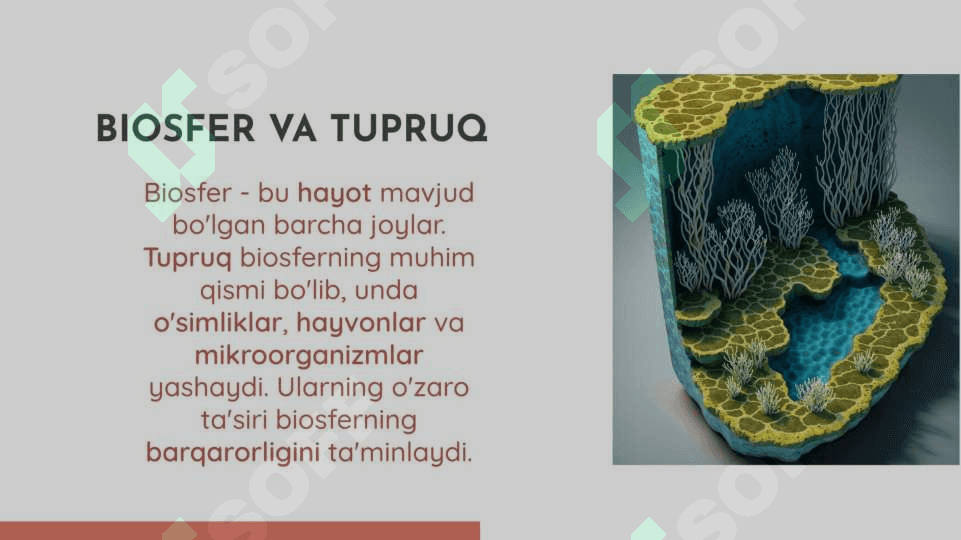 tuproq va uning xususiyatlari 4