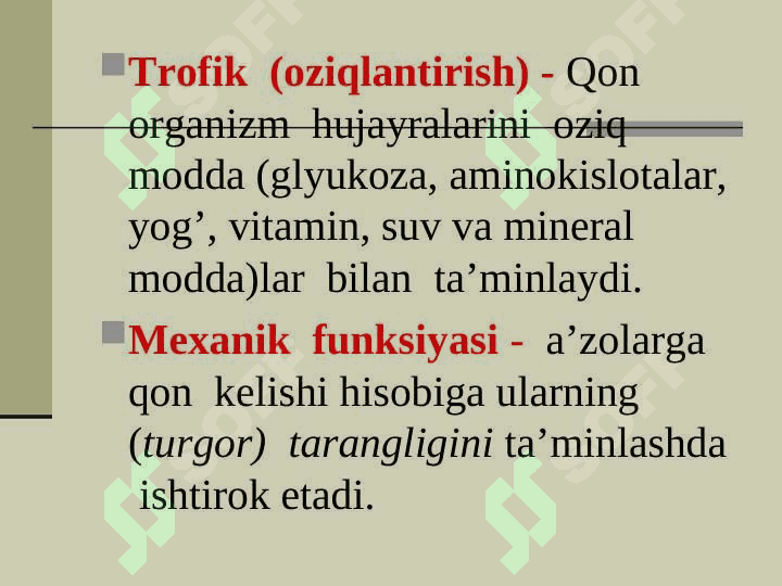 QON  TOMIR  VA  LIMFA  TIZIMI 5