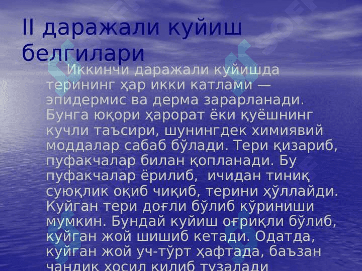 Kuyish 6