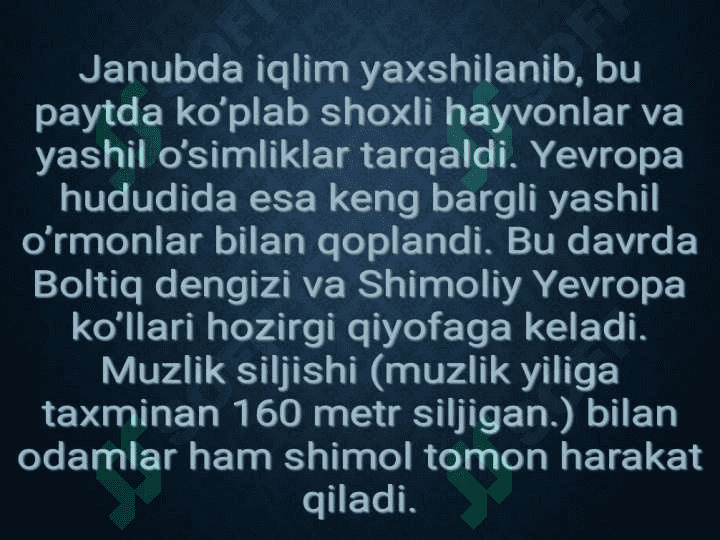 mezolit 6
