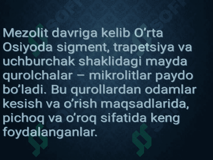 mezolit 7