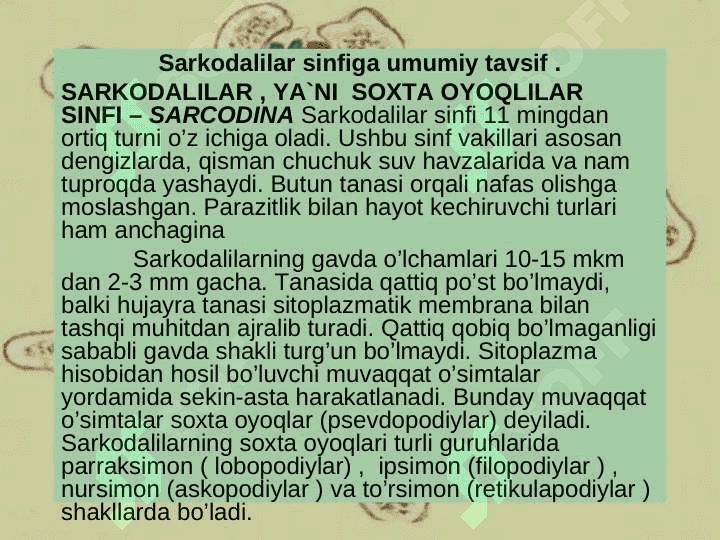 SARKODALILAR SINFI. 3