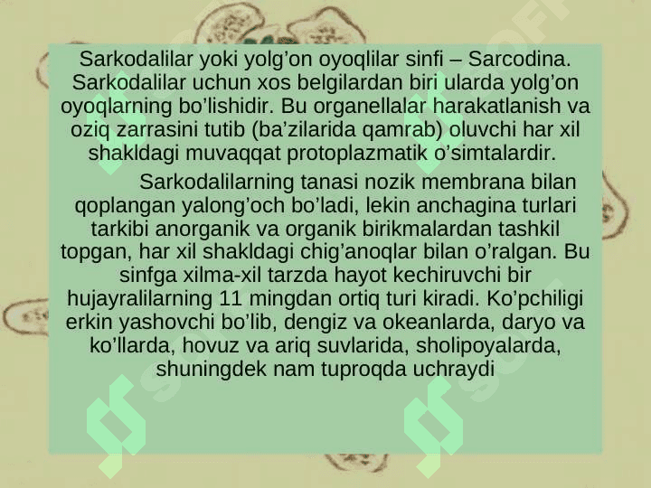 SARKODALILAR SINFI. 4
