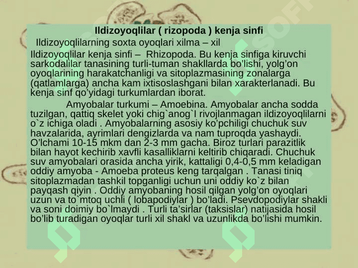 SARKODALILAR SINFI. 8