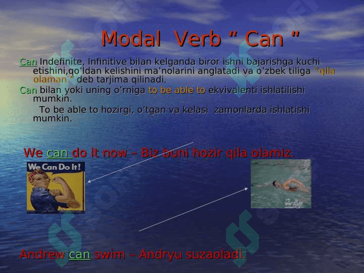 Modal verb can 4
