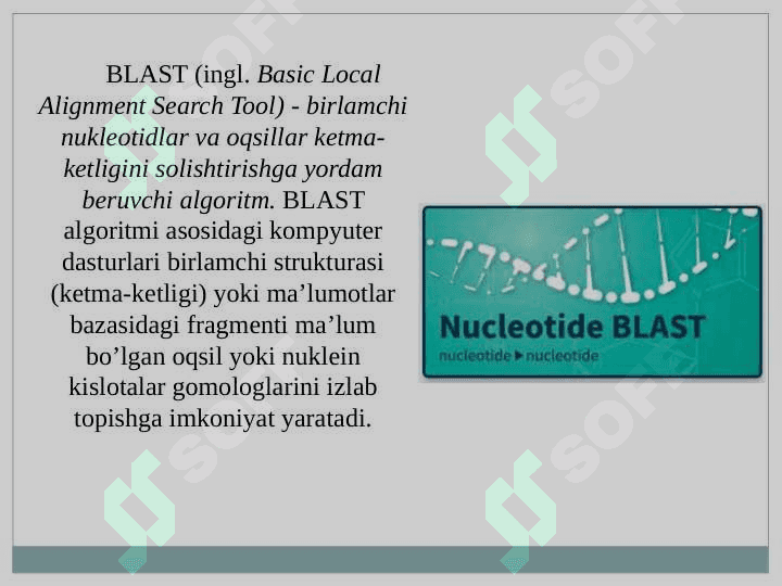 Blast dasturi ishlash mexanizmi 3