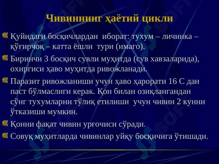Bezgak 7