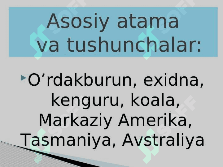 Sut emizuvchilаrning  хilmа-хilligi:  tuхum qo’yuvchilаr,  хаltаlilаr, yo’ldоshlilаr 3
