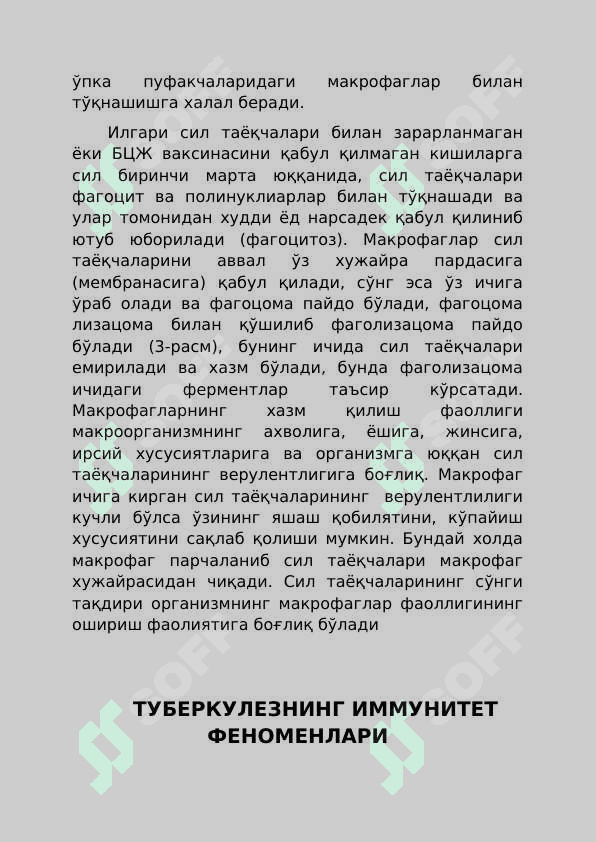 ТУБЕРКУЛЕЗ ПАТОГЕНЕЗИ 2