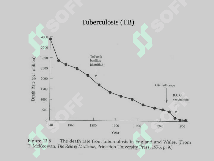 EID-tuberculosis 7