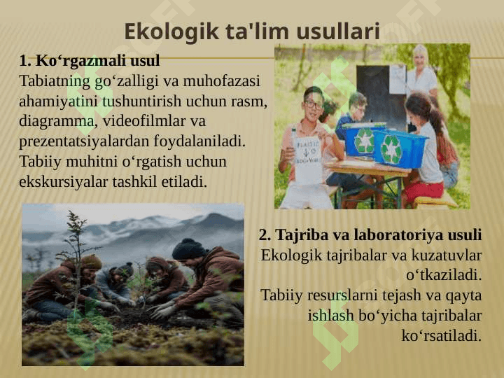 Ekologik ta'lim usullari va dasturlari 2
