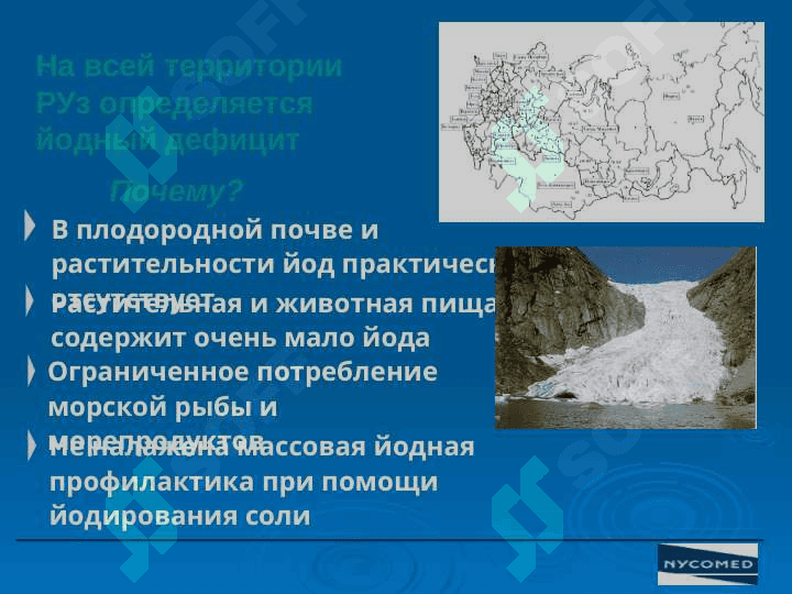Йоддефицитные заболевания ( ЙДЗ ) 4