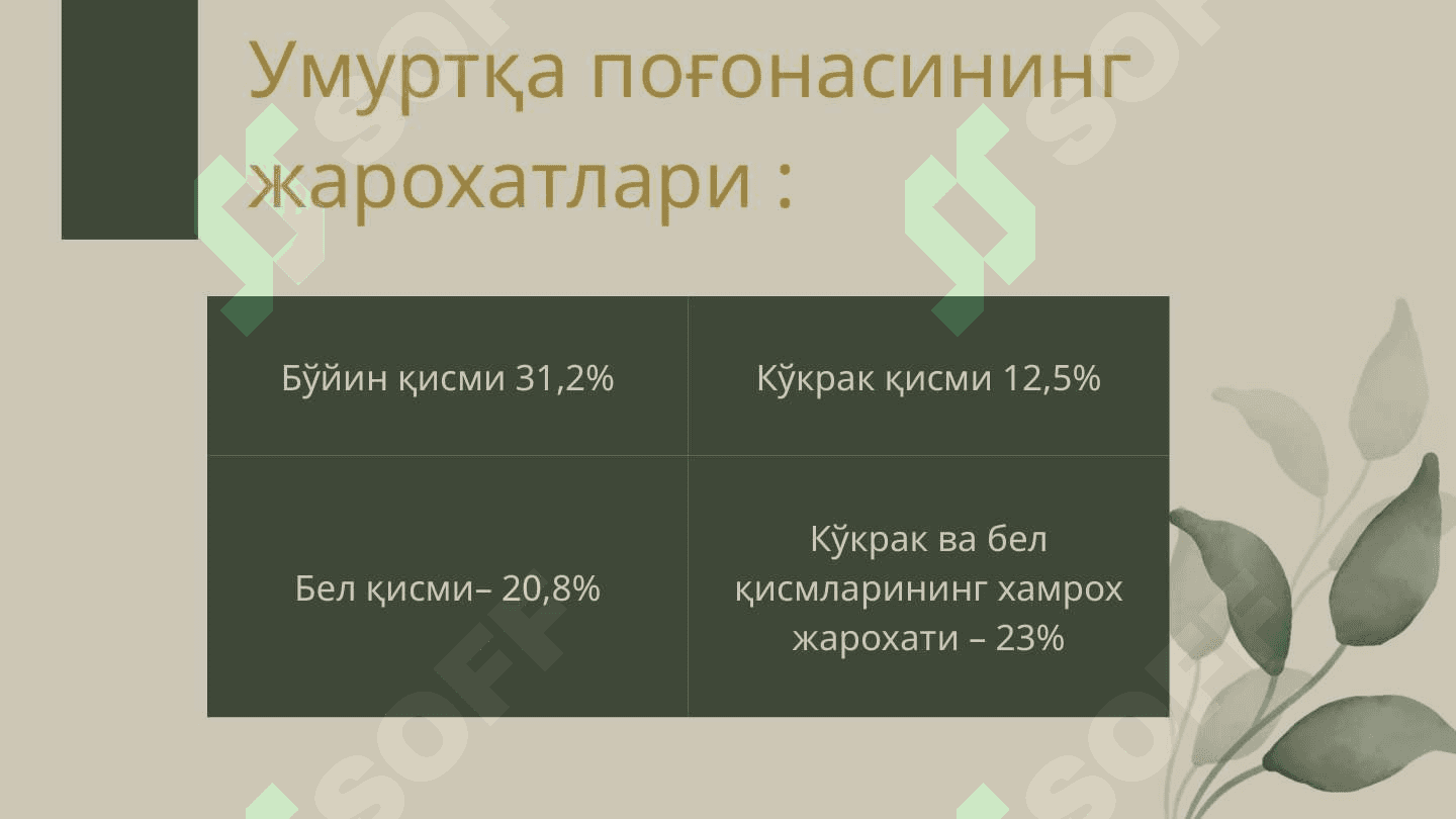 Kattalar va bolalarda umurtqa pog`onasi shikastlanishlari. Chanoq suyaklarini sinishi.Son suyagini shikastlanishlari 5