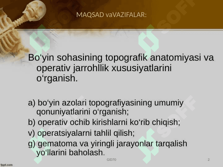 Boʻyin sohasi klinik anatomiyasi 2