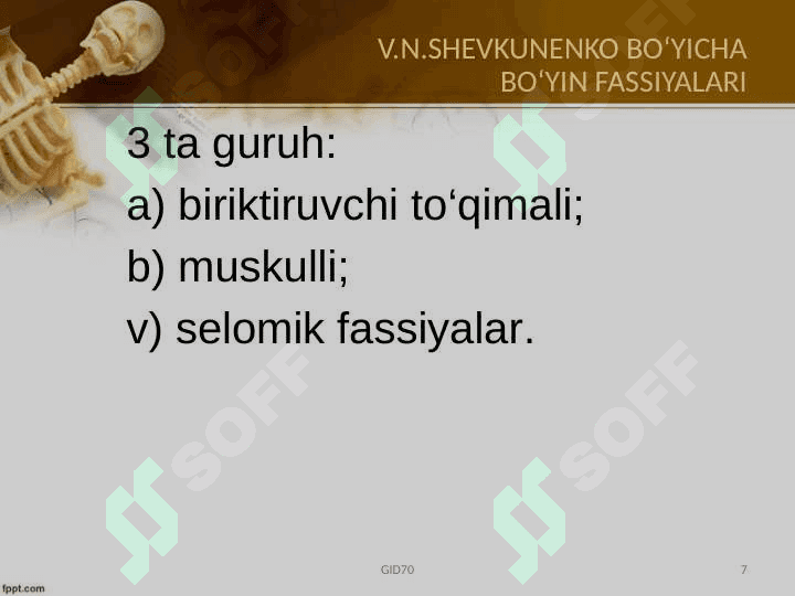 Boʻyin sohasi klinik anatomiyasi 7