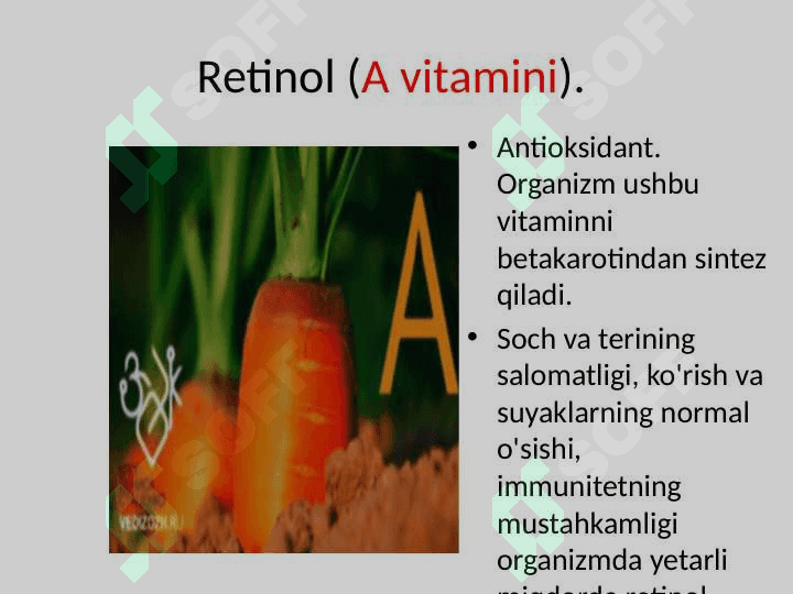 V I T A M I NL A R 8
