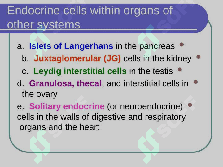 ENDOCRINE SYSTEM 7