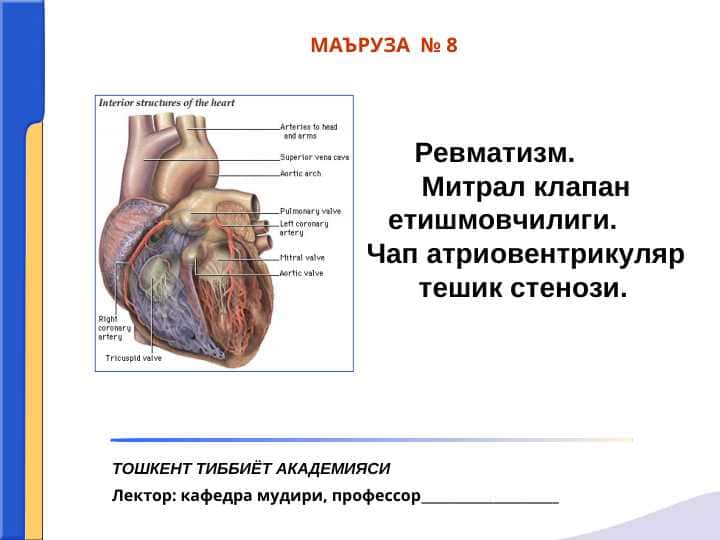 Ревматизм.         Митрал клапан етишмовчилиги.       Чап атриовентрикуляр тешик стенози